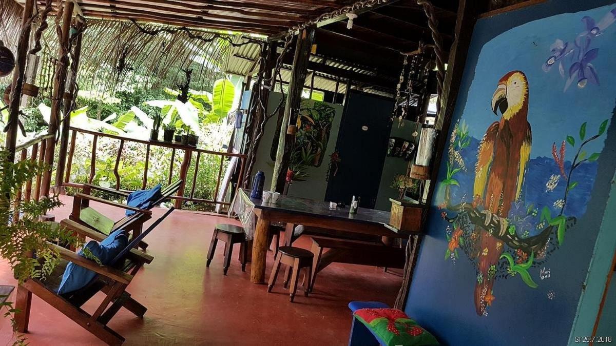 Vista Alta Ecolodge Bahia Drake Drakes Bay Dış mekan fotoğraf