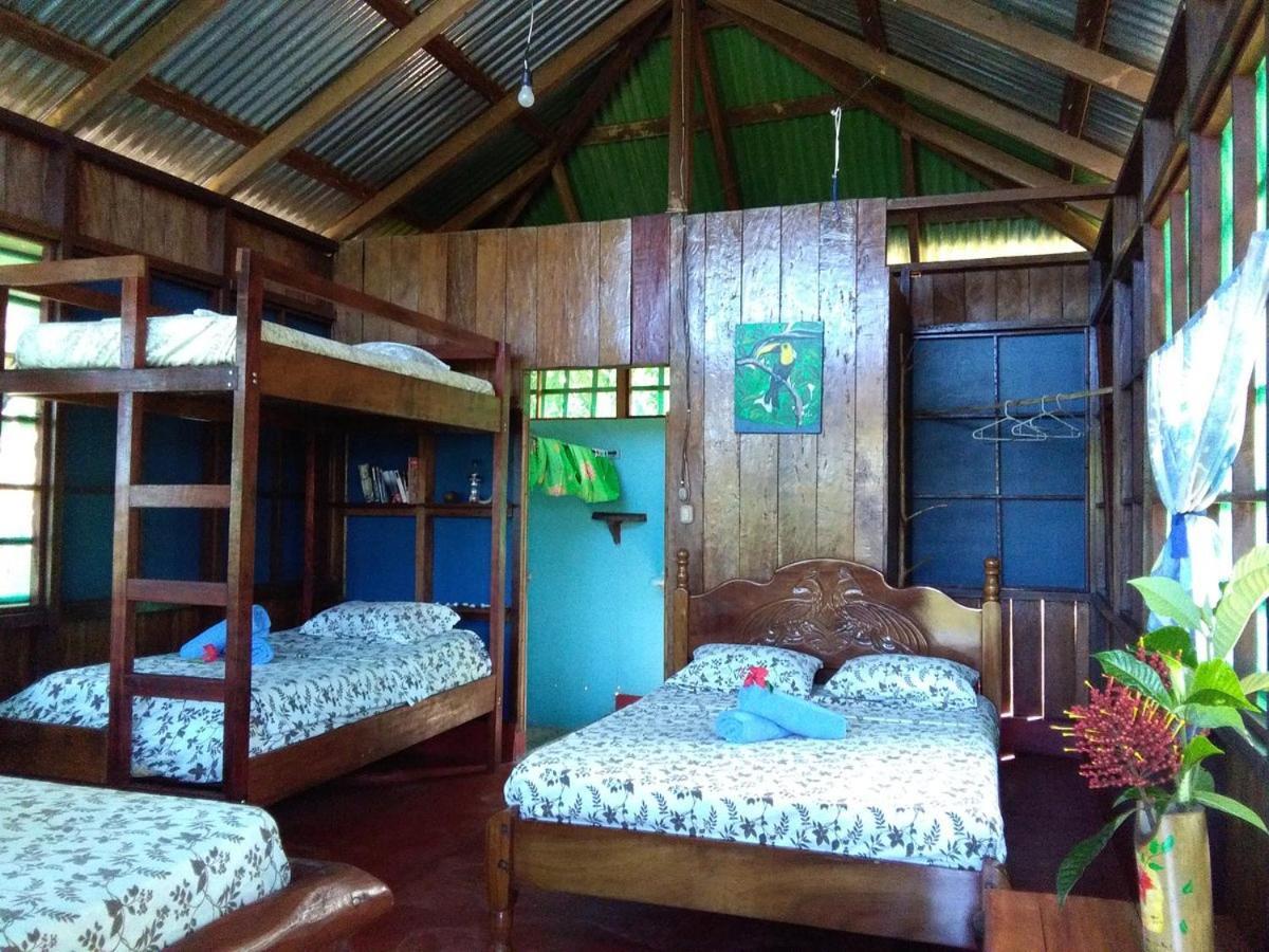 Vista Alta Ecolodge Bahia Drake Drakes Bay Dış mekan fotoğraf