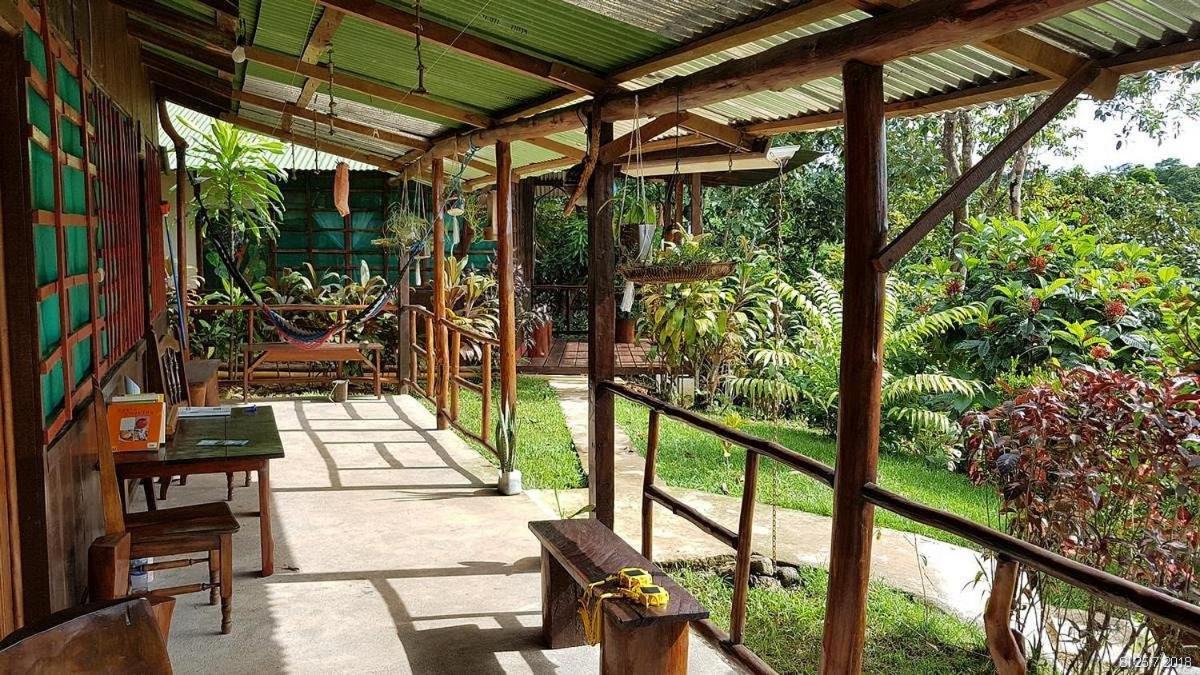 Vista Alta Ecolodge Bahia Drake Drakes Bay Dış mekan fotoğraf