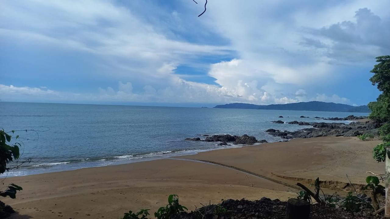 Vista Alta Ecolodge Bahia Drake Drakes Bay Dış mekan fotoğraf
