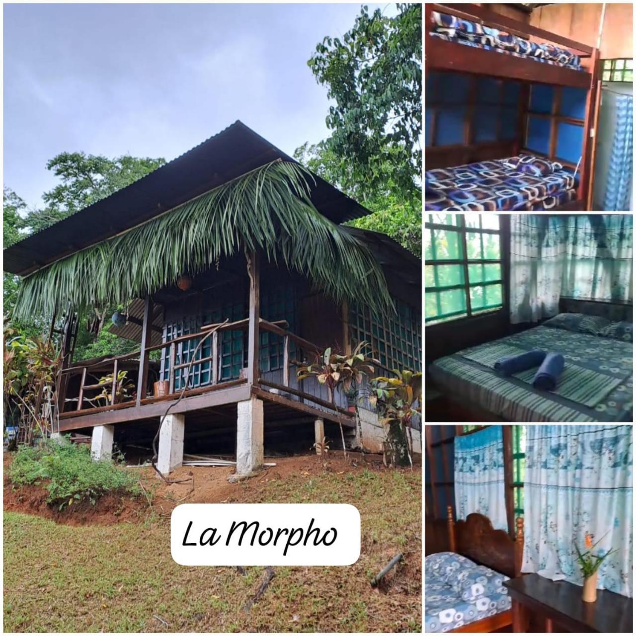 Vista Alta Ecolodge Bahia Drake Drakes Bay Dış mekan fotoğraf