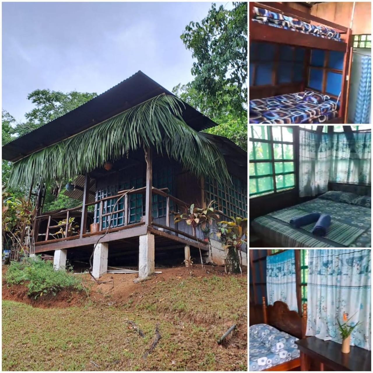 Vista Alta Ecolodge Bahia Drake Drakes Bay Dış mekan fotoğraf